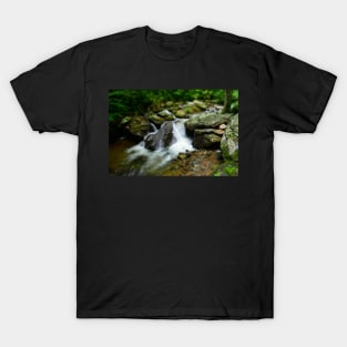 River Rocks T-Shirt